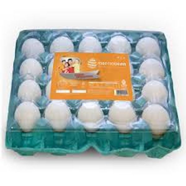 images -31-.jpg images -31-.jpg